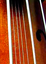The Bird - tenor violin/hardinger hybrid