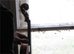 Click For Enlargement: Violin music with flies in the waiting room