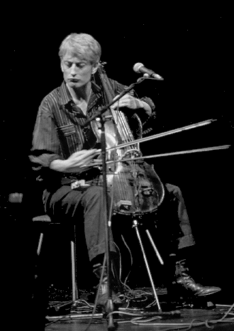 19 string cello